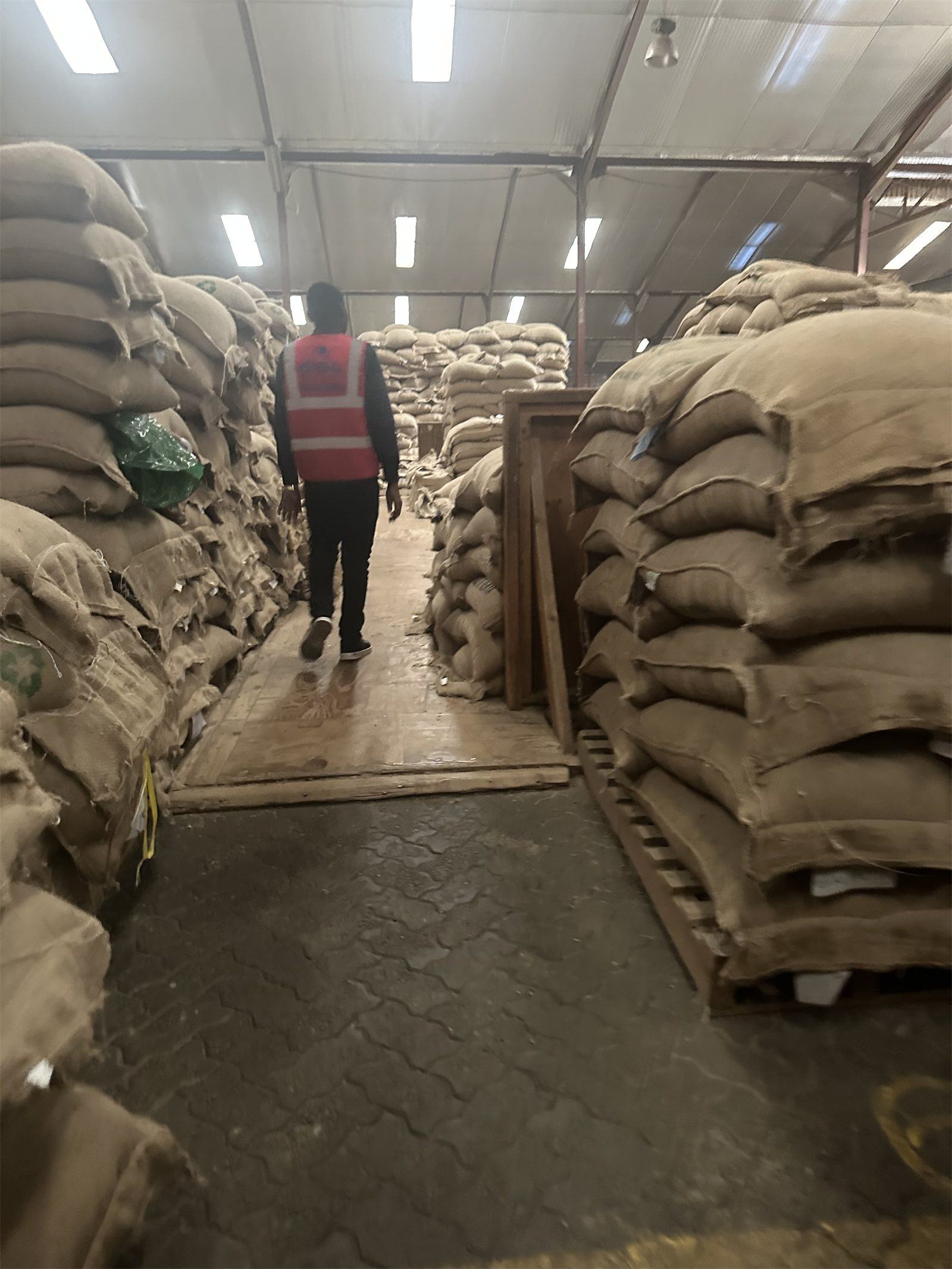A Mambo Leo founder walking between stacks of 60 kg jute coffee bags in an export warehouse in Kenya