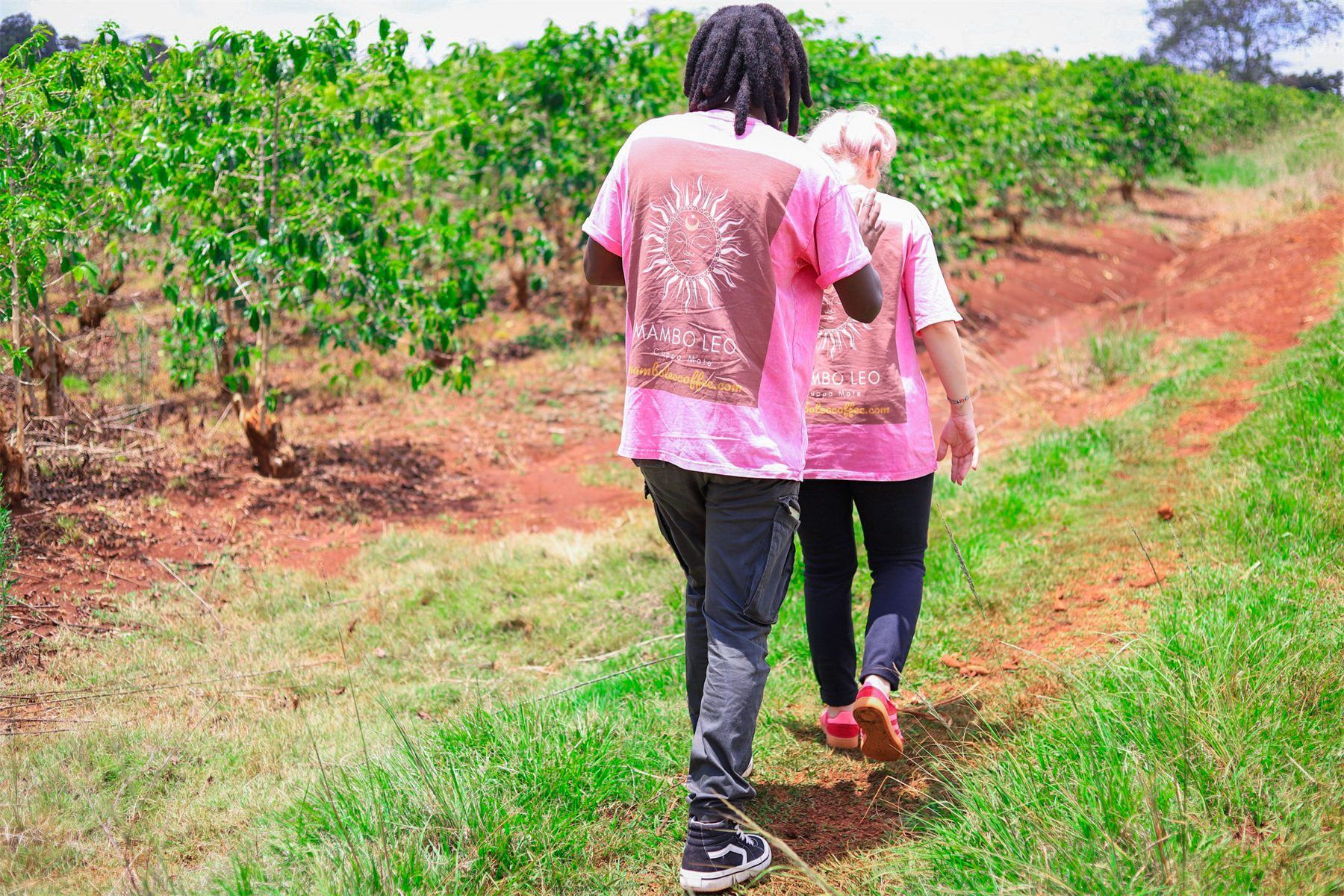 Mambo Leo founders walking between rows of coffee trees in Kenya