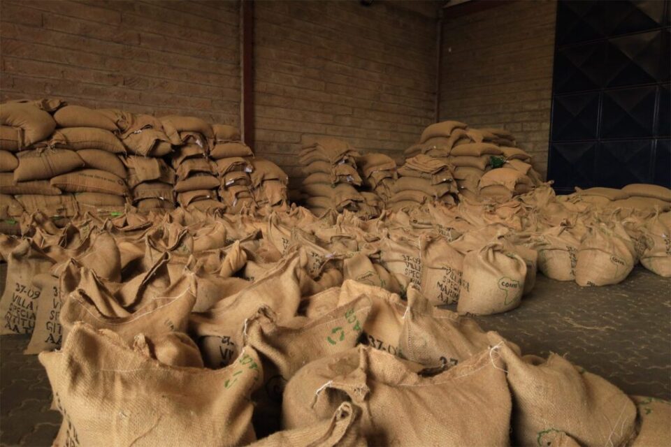 Jute coffee bags stacked in a warehouse